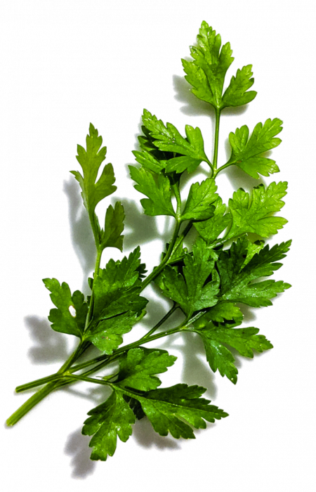 Parsley